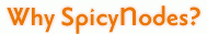 Why SpicyNodes?