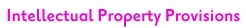 Intellectual Property Provisions